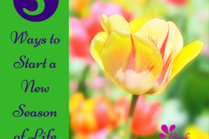 The Season Of New Beginnings