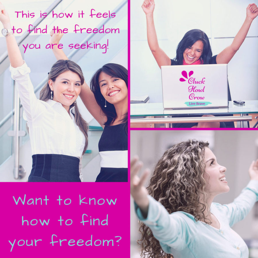 Finding Freedom With Your Own Business
